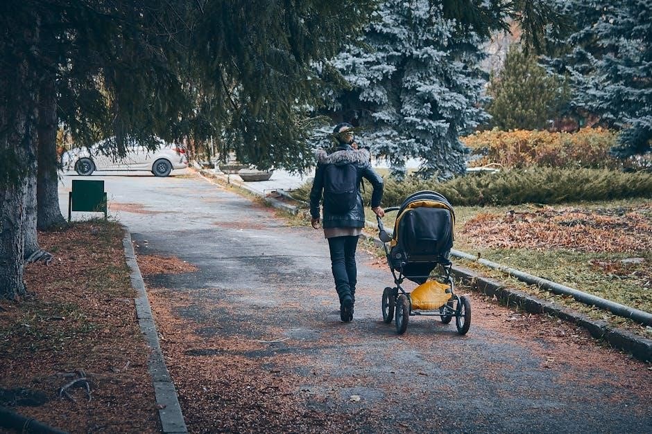 graco snugride 30 stroller manual