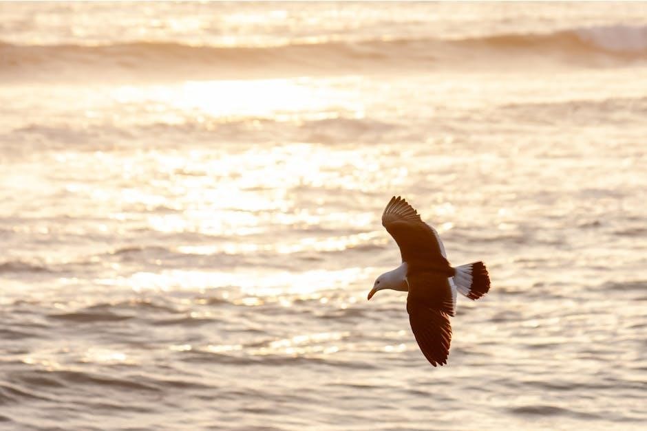 the little seagull handbook with exercises 4th edition pdf free